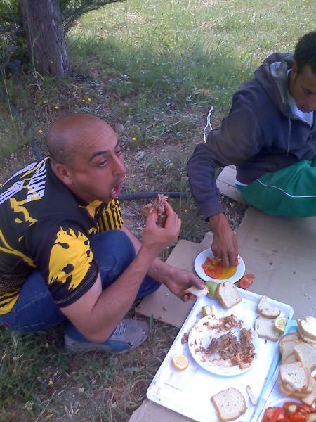 tfdhtah a3aziz